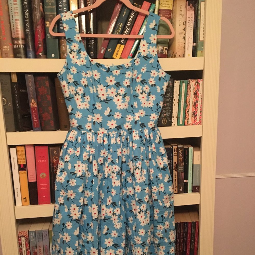 NWT Hearts and Found Emily dress Blue floral
